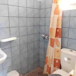 Paradise Милопотас