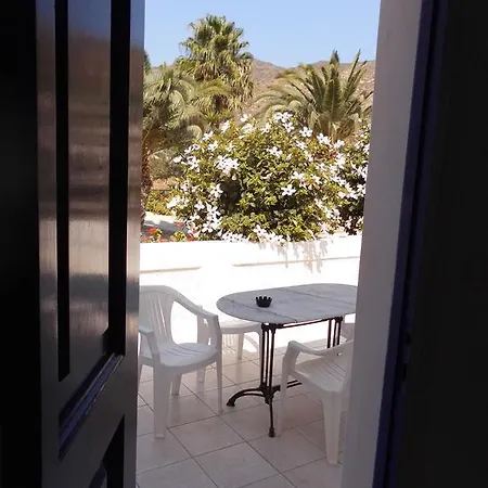 Paradise 4*