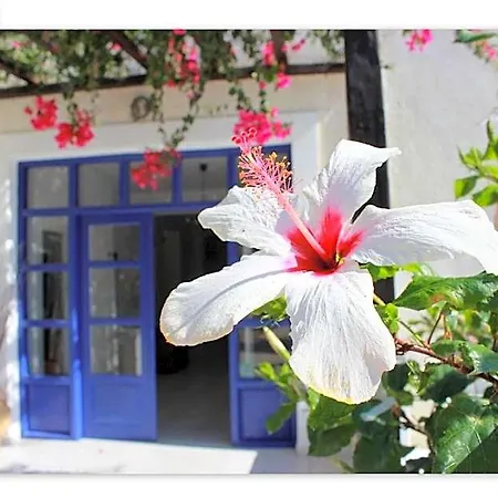 Paradise 4* Mylopotas